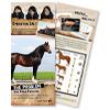 Horse Series Pamphlets