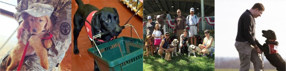 Hero Dogs, Inc.