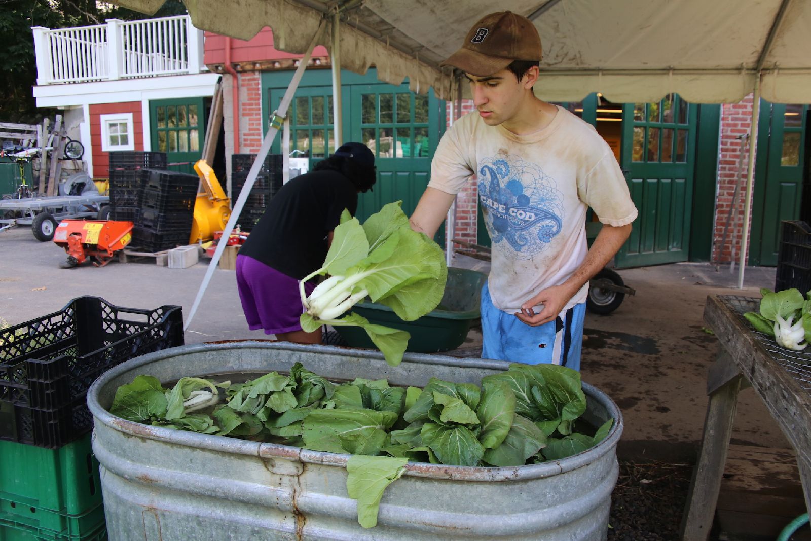 Andy_washing_greens_10_15.JPG