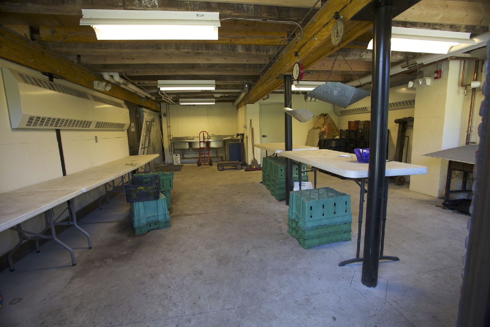 Barn_veggie_area_7_14.jpg