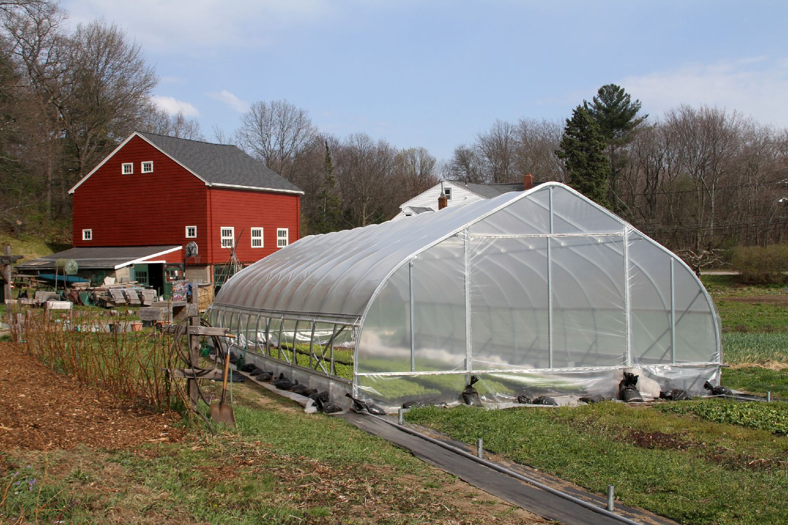 Better_hoophouse_4_12.JPG