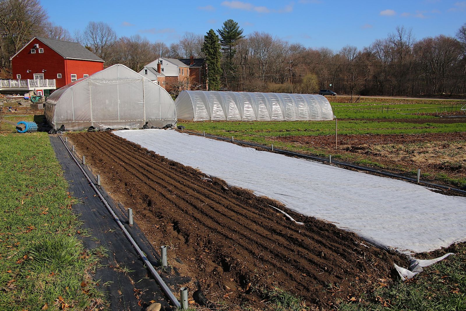 Farm_field_3_16.JPG