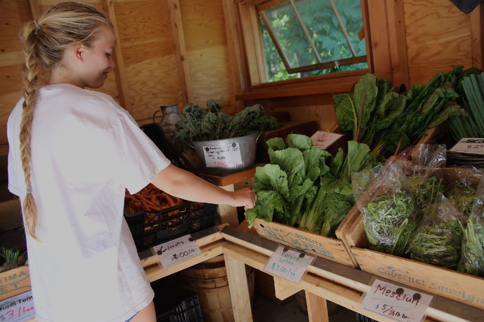 Farmstand_7_16.JPG