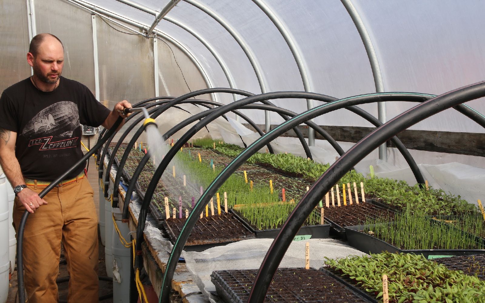 Greg_in_greenhouse_3_16.JPG