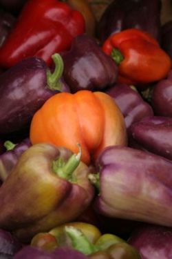 Pepper_closeup.JPG