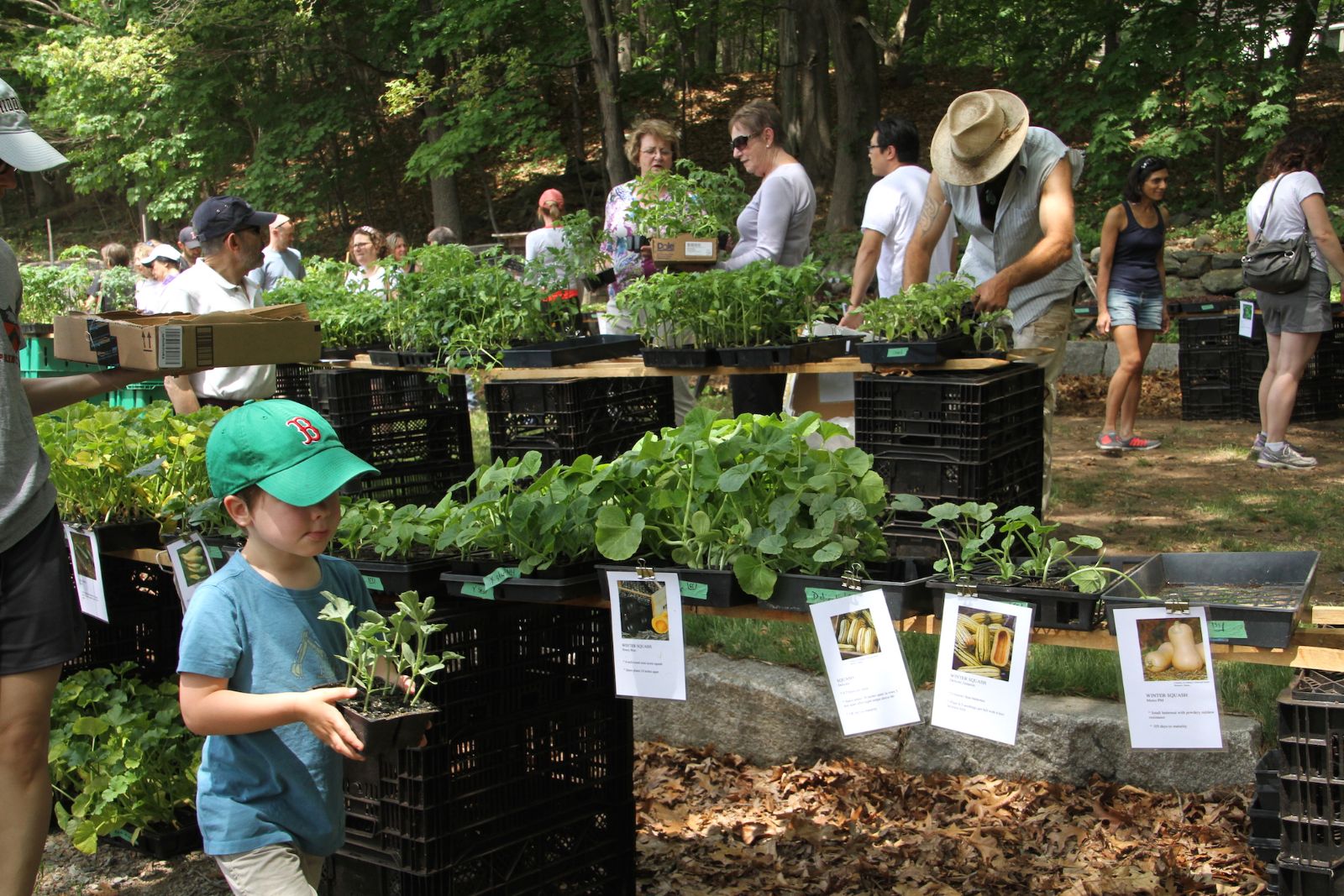 Seedling_Sale_1a_5_15.JPG
