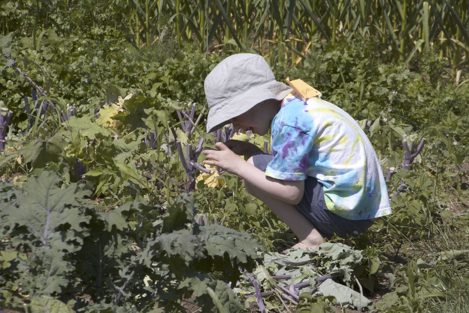 Sprout_7_14.jpg
