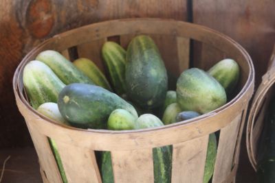 cukes.JPG
