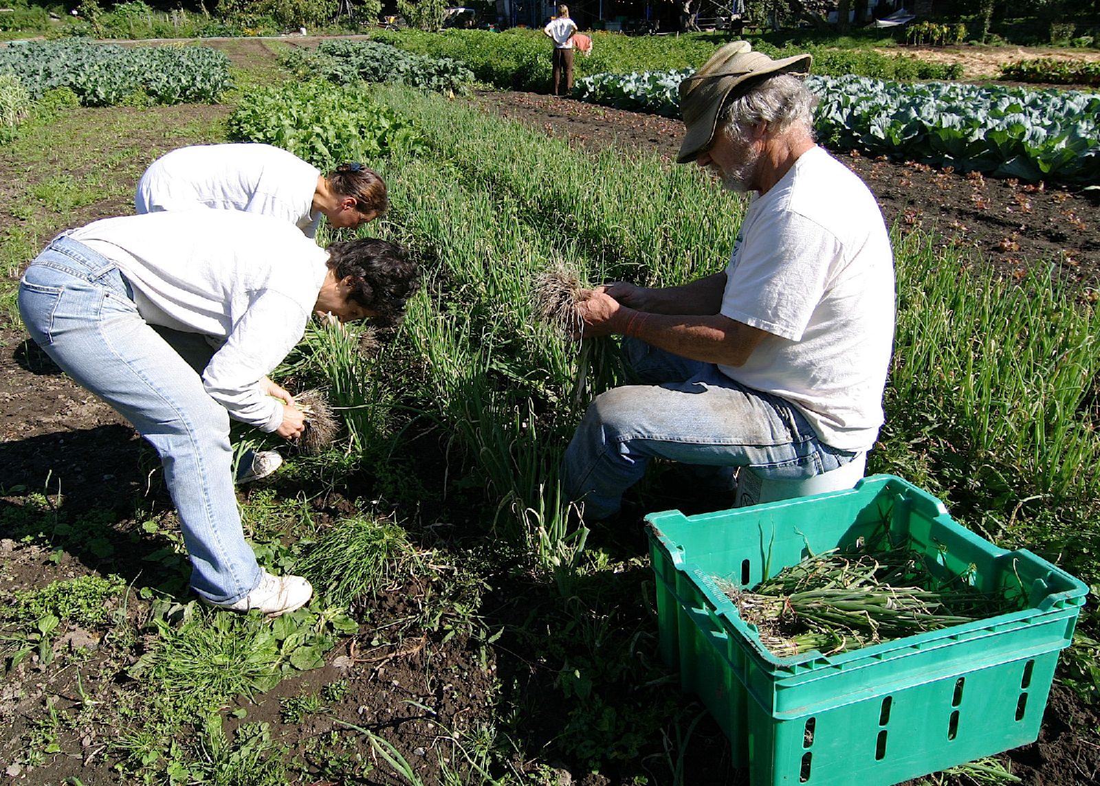 volunteers_7_16.JPG