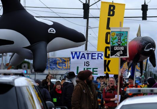 Photo of protesters and giant orca whale_copyright Alex Milan Tracy